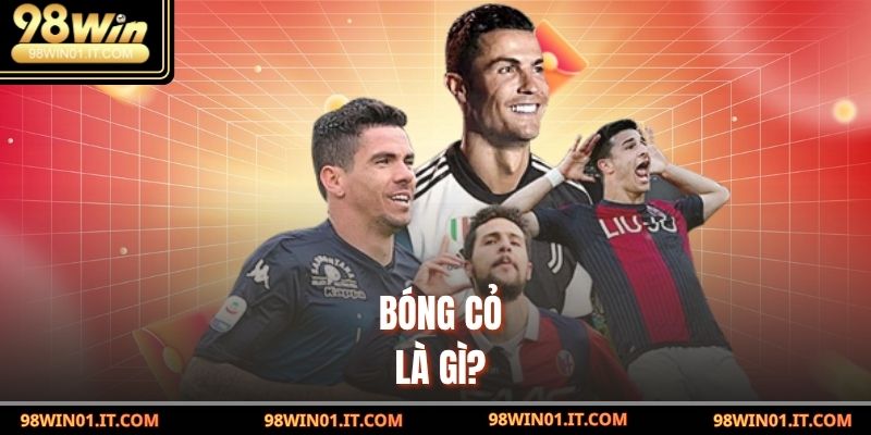 Bóng Cỏ Là Gì? Tất Cả Những Gì Tân Thủ Cần Biết Năm 2025 2 Bóng cỏ là gì?