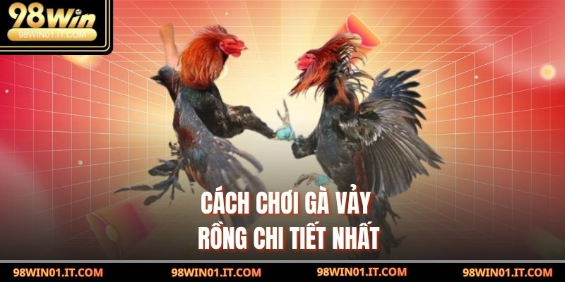 Gà Vảy rồng – Bộ Môn Kịch Tính Và Đầy Bản Lĩnh Của Dân Chơi 3 Cách chơi Gà Vảy rồng chi tiết nhất