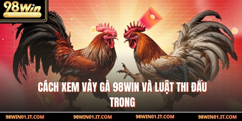 Cách xem vảy gà 98win – Bí Mật Đằng Sau Khiến Dân Chơi Mê Mẩn 3 Cách xem vảy gà 98win và luật thi đấu trong
