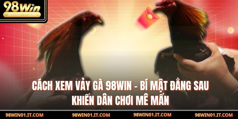 Cách xem vảy gà 98win – Bí Mật Đằng Sau Khiến Dân Chơi Mê Mẩn 1 Cách xem vảy gà 98win