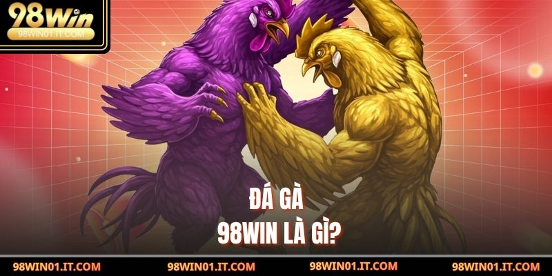 Đá gà 98win là gì?