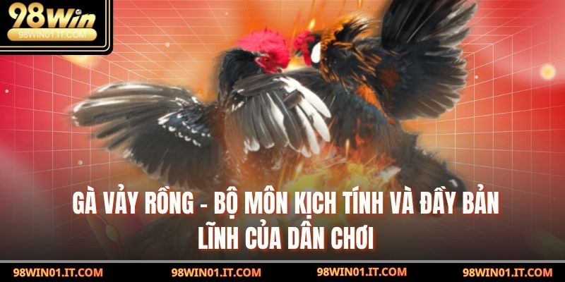 Gà Vảy rồng – Bộ Môn Kịch Tính Và Đầy Bản Lĩnh Của Dân Chơi 1 Gà Vảy rồng
