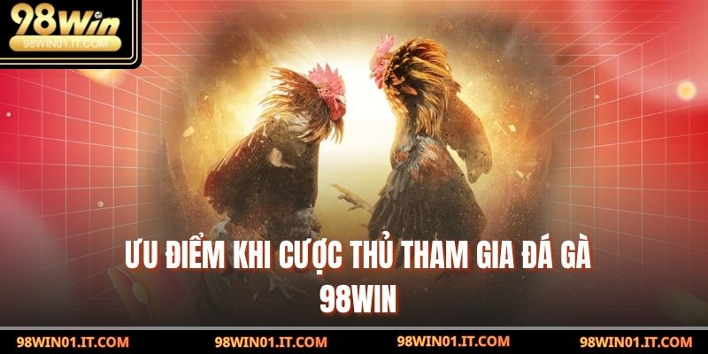 Ưu điểm khi cược thủ tham gia đá gà 98win